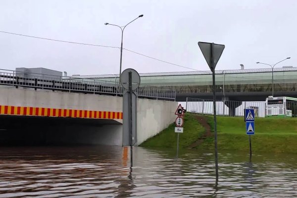 Кракен телегрф